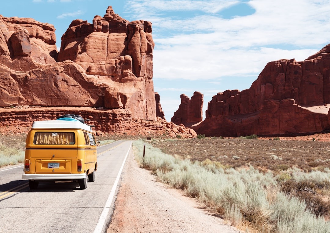 Packing Essentials for Traveling with Pets